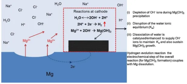 Fig. 19. Schematic representation of HER governed by precipitation of Mg(OH) 2  presented in [10]