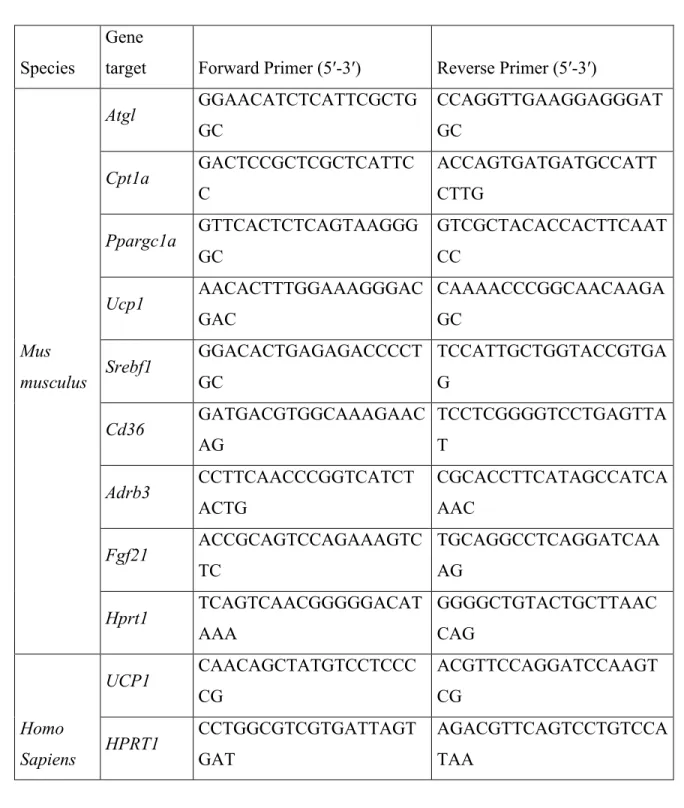 Table 2. Primers sequences for mouse and human genes used in real-time PCR  1	