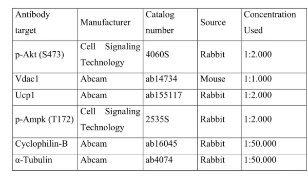 Table 3. Antibodies used for Western blots  1	 2	 Antibody  target  Manufacturer  Catalog number  Source  Concentration Used 