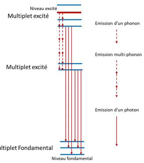 Fig. I.3 Diﬀérents processus de relaxation à partir d’un niveau excité pour un ion de terre rare à basse température.