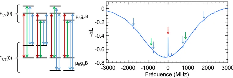 Fig. II.5 Gauche : Schéma des niveaux des diﬀérentes classes d’ions résonantes avec le laser pour Yb 3+ :Y