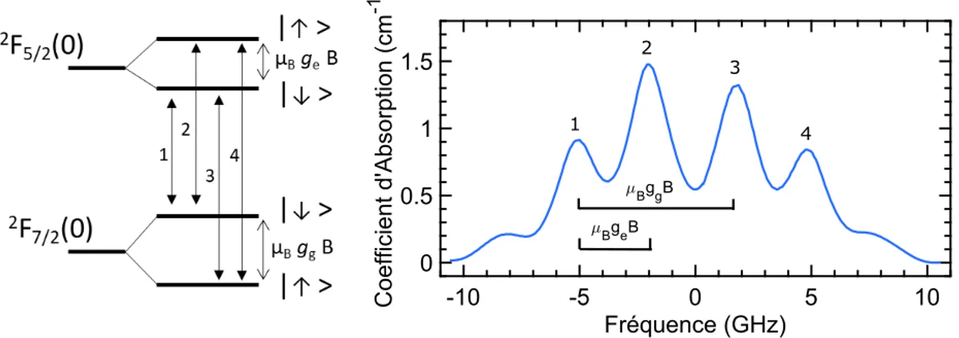 Fig. III.11 Gauche : Schéma des niveaux Zeeman. Droite : Spectre de trans- trans-mission de Yb 3+ dans le site 1 de Y