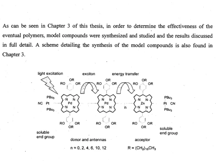 Figure 14. Drawing of the target oligomers showing the exciton. 