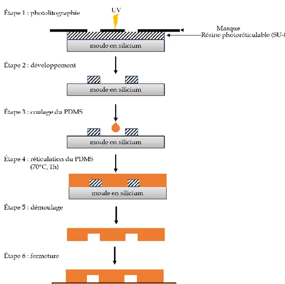 Figure 3 : Étapes de microfabrication de micro-canaux en PDMS par lithographie molle.    