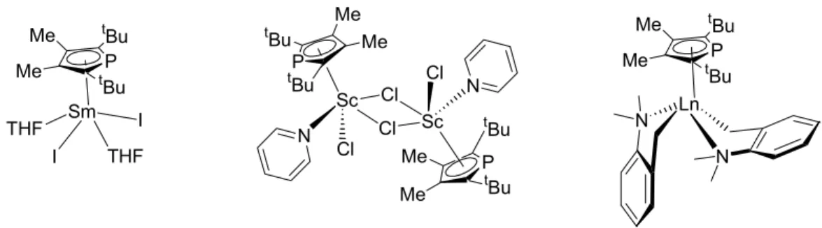 Figure 10.  Half-sandwich lanthanide complexes with phospholyl ligands. 