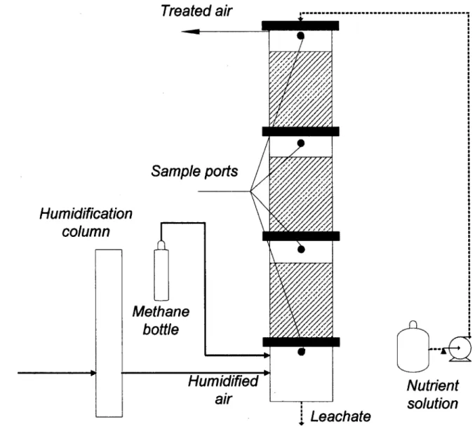Figure A1 : Inorganic packed bed biofilter set up for the biofiltration of  CH4 
