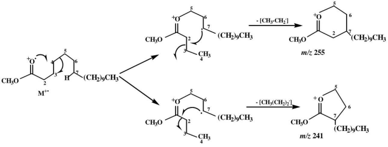 Figure III.4. Mécanismes de fragmentation conduisant à la formation des ions m/z 255 (M-29)  et m/z 241 (M-43)