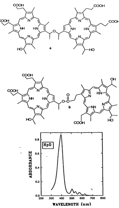 Figure 2. Structure and absorption spectra of HpD a = Dihematoporphyrin ether, b = Dihematoporphyrin ester