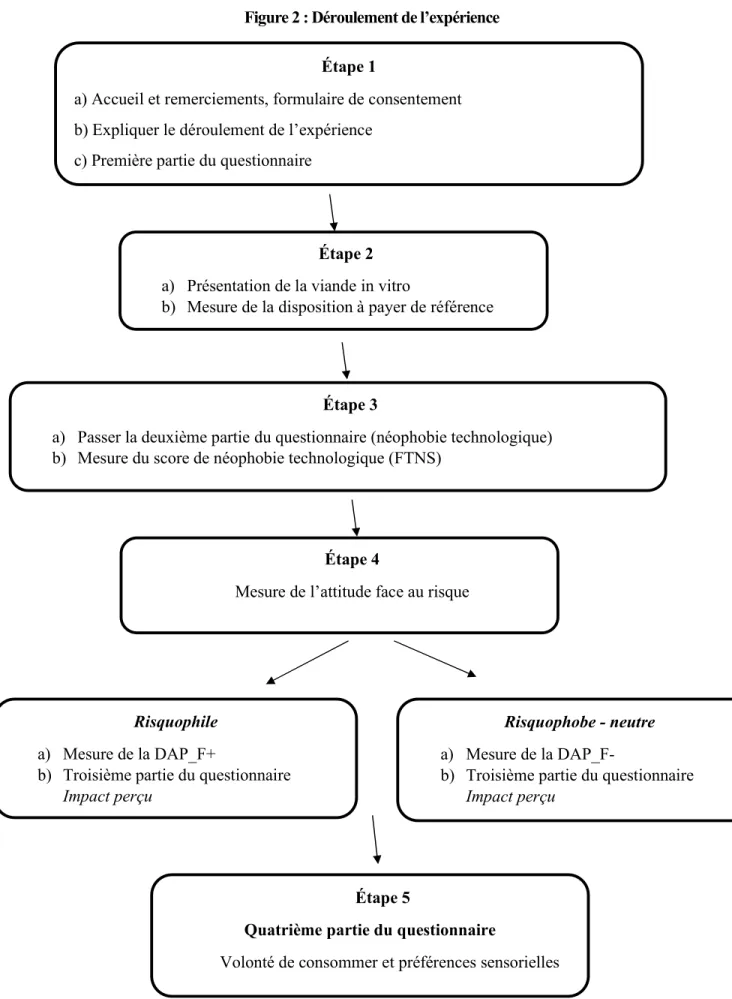 Figure 2 : Déroulement de l’expérience 