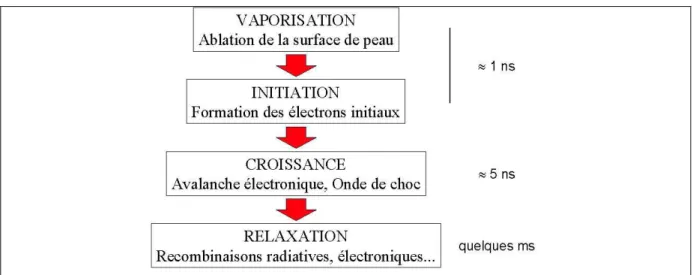 figure I-6 : Etapes de la formation d’un plasma induit par laser d’une durée de pulse de 6 ns 