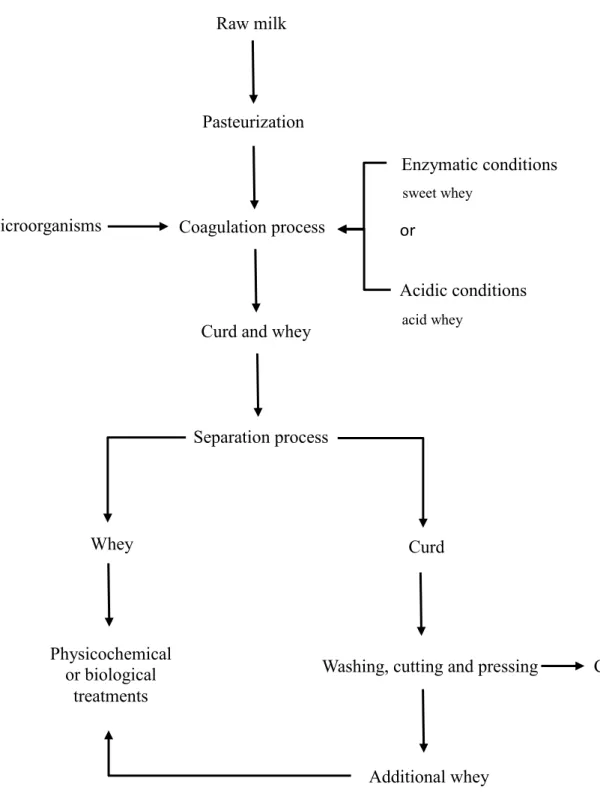 Figure 2.2: Whey production during cheese manufacturing 
