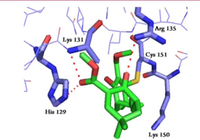 Figure 4. Fold induction of NQO1 expression by sulforaphane (SFN), compounds 8, 17, 27, 32, 33, and 34 at 2, 5, and 10 μM.