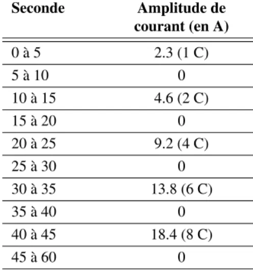 Figure 4.11 Profil de courant pour la mesure de la Rin à la décharge