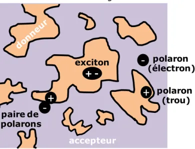 Figure  I-32  :  Schéma  de  la  couche  active  (donneur-accepteur)  expliquant  les  termes  exciton, paire de polarons et polarons 