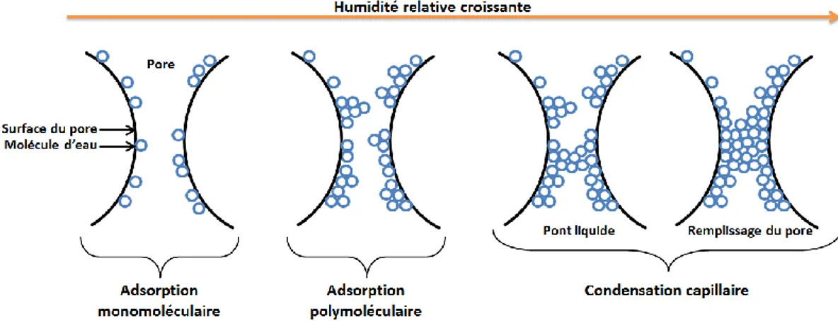 Figure 22 : Evolution de la teneur en eau des pores en fonction de l’humidité relative 