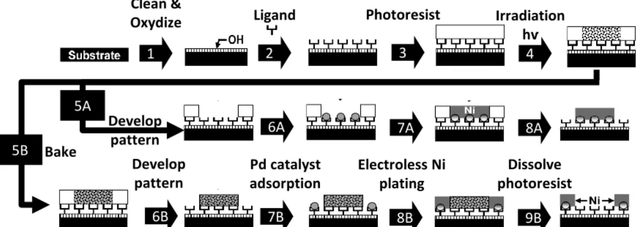 Figure 15 : Localized electroless nickel metallization onto surface-oxidized polyimide by the channel- channel-constrained metallization process (CCM) with negative-tone metal feature (path A) and positive-tone 