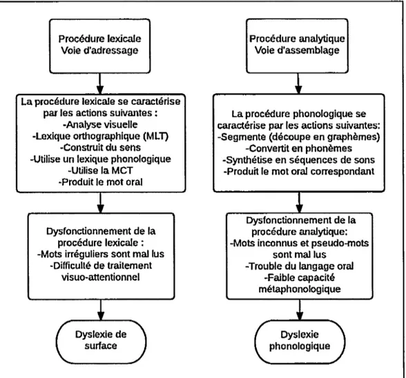 Figure  1.1:  Figure représentant un résumé de l'état des connaissances du modèle  à  deux voies de l'Association de CORIDYS-ISERE, adapté par Lapierre (2008, pp.19) 