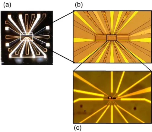 Figure 1.3 – Photos de l’´echantillon `a trois diff´erents agrandissements (a) les r´egions noires correspondent aux grilles de l’´echantillon et blanches aux contacts ohmiques