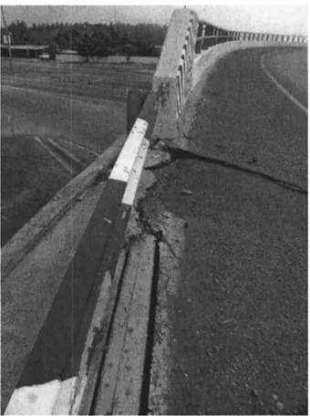 Figure 1-25 : Fissures provoquées par le déplacement horizontal d'un remblai en Terre  Armée au cours d'un séisme [WAR06] 