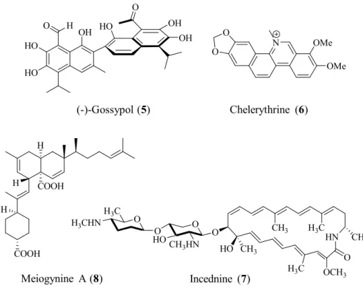 Figure 1.2: Natural inhibitors of the anti-apoptotic protein 