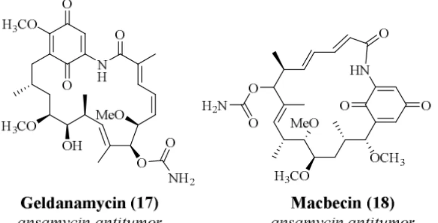 Figure 2.3: Example of ansamycins 