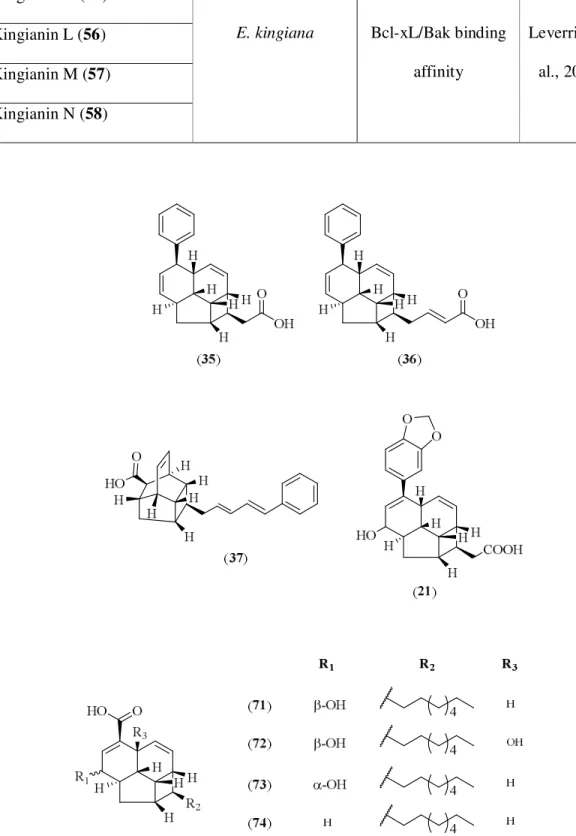 Figure 2.11: Polyketides isolated from Endiandra and Beilschmiedia species 