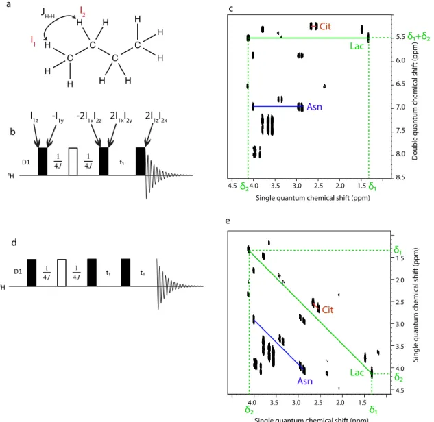 Figure 1.11. Correlations involved during the DQS pulse sequence (a), with the 2D pulse 