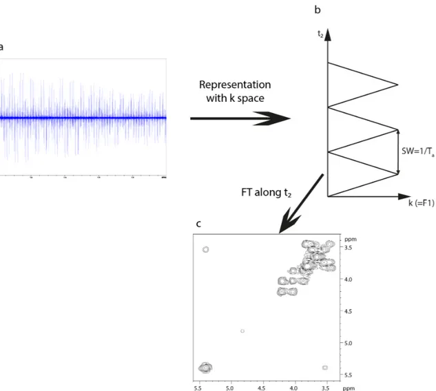 Figure 1.26. Recorded signal for a UF COSY of a sucrose sample (100 mM) (a), which can be 