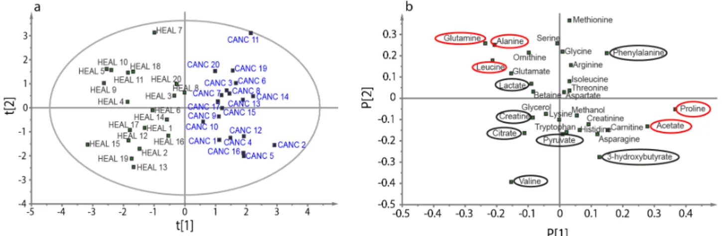 Figure 2.1. Score plot (a) and loading plot (b) of the OPLS-DA analysis of the concentration of 