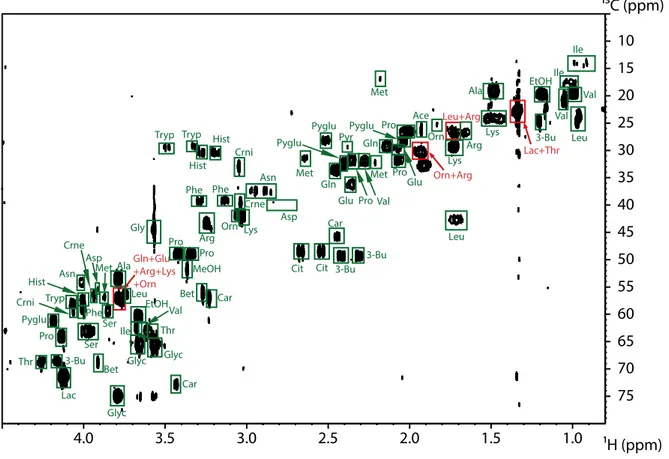 Figure 2.8.  1 H- 13 C HSQC spectrum of one of the synthetic serum with a zoom on the aliphatic 