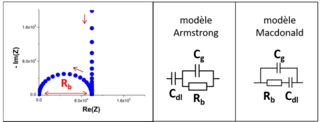 Figure 16  : Diagramme de Nyquist et circuits équivalents selon les modèles de Armstrong et  Macdonald dans le cas d’une électrode bloquante