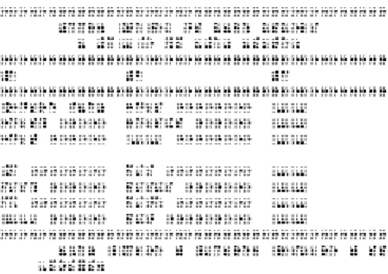 Figure 1.3  – Tableau en braille embossé imitant en partie la disposition horizontale et verticale des  contenus originaux  