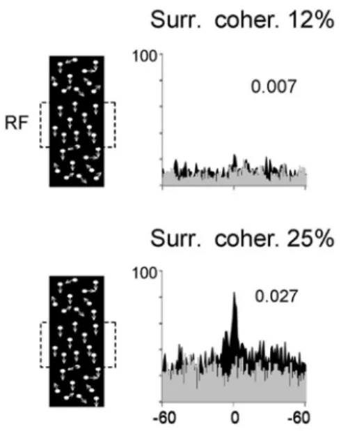 Figure 1. Two examples of cross-correlograms produced  by random dots stimuli positioned in the surround above  and below of the receptive field (RF), both RF (partially  superimposed) are delineated by square
