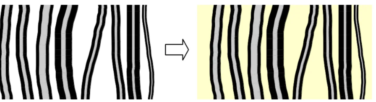 Figure 2.5 – Schéma de l’imprégnation du polymère dans les VACNTs : le polymère remplace l’espace inter-tube.)