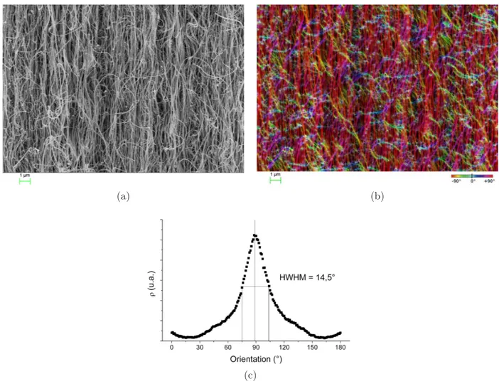 Figure 3.6 – Distribution de l’orientation des NTCs bruts de la synthèse caractéristique GI115, mesurée sur une image MEB ((a) tapis de NTCs bruts ; (b) même image avec l’orientation codée par couleurs (voir l’échelle) ; (c) courbe de distribution correspo