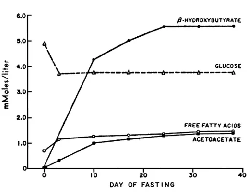 Figure 4 : Ketone levels during extended fasting 