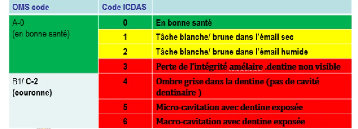 Figure 13. Comparaison des codes de carie OMS vs Critères ICDAS II 