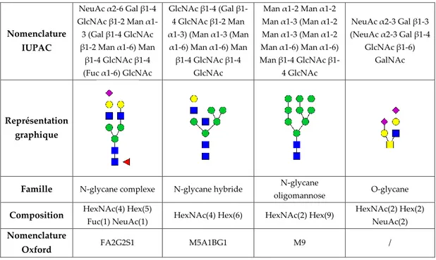 Figure 6 : Nomenclatures graphiques et textuelles, exemples représentatifs de N- et O-glycanes