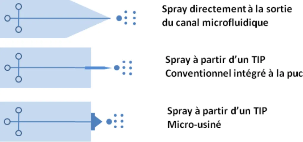 Figure 12 : Approches de couplage de dispositifs microfluidiques à la MS par électrospray 