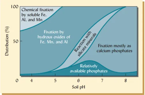 Figure 3-1 : Disponibilité du phosphore dans le sol en fonction du pH du sol