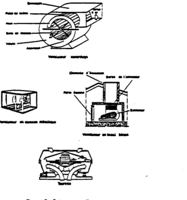 Figure 2 : Extrocteutz d/raa 