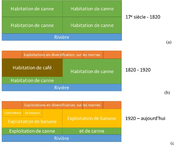 Figure 1: représentation schématique de l'occupation du sol agricole au cours de l'histoire Martiniquaise : (a) du  17é siècle à 1820, (b) de 1820 à 1920, (c) de 1920 à nos jours 