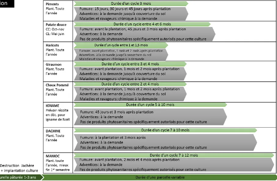 Figure 4: cycles de culture de quelques productions présentes dans les systèmes plus ou moins associés d'agriculture de diversification