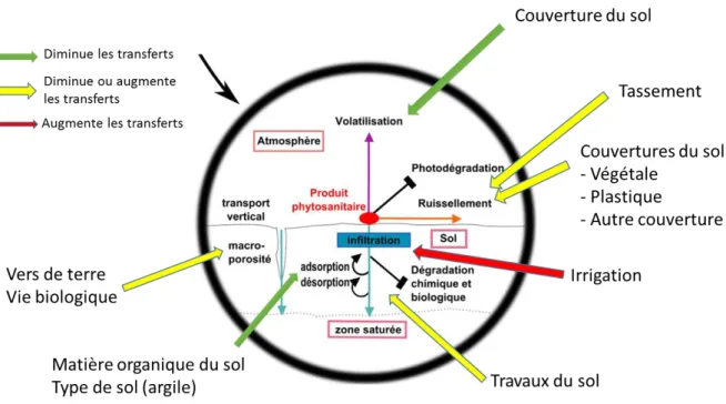 Figure  8:  effet potentiel  des pratiques agricoles  sur  le  transfert  des  pesticides hors de  la  parcelle (source :  (Mottes,  2013)  complétée par Charles Mottes) 