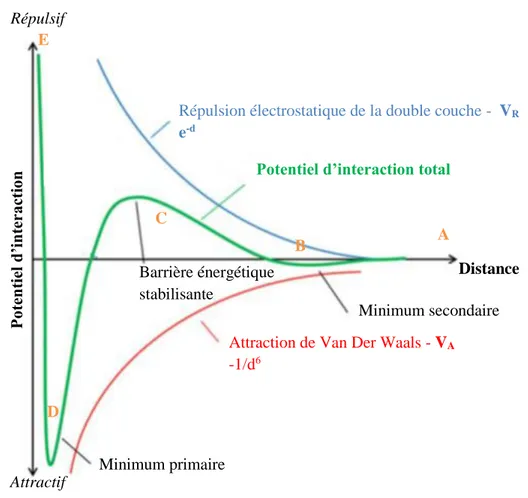 Figure  21  :  Variation  du  potentiel  d'interaction  total  en  fonction  de  la  distance  interparticulaire  selon la théorie DLVO
