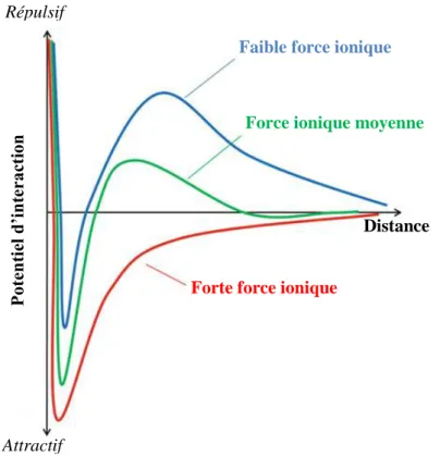 Figure  22  :  Potentiel  d'interaction  total  en  fonction  de  la  force  ionique  selon  la  théorie  DLVO