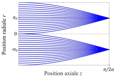 Figure 1.4  Tracé de rayons du GRIN générant un anneau focal.