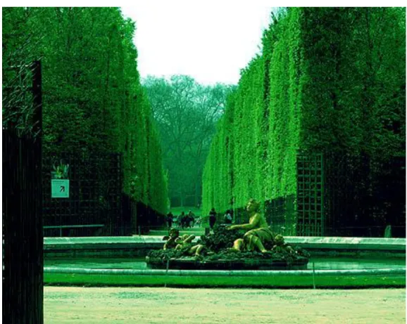 Fig. 4: L’allée de Flore et Cérès au Parc de Versailles (réalisé par Le Nôtre en 1661) 