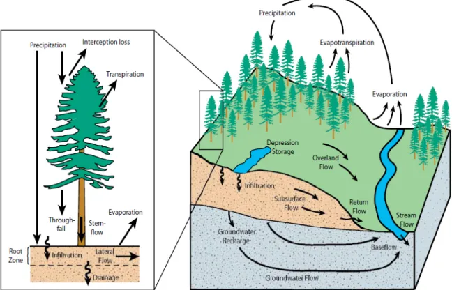 Figure 0.1: Watershed hydrologic cycle and stand water balance. Taken from Winkler et al.