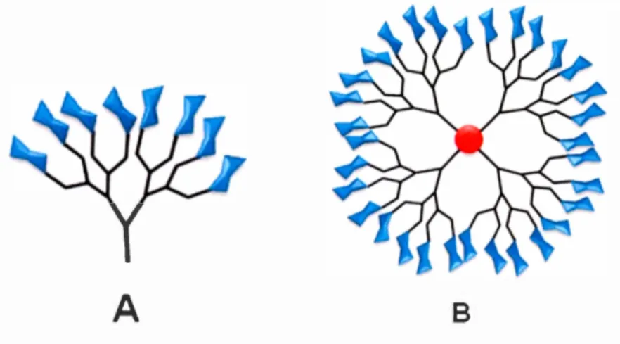 Figure 1-6. Structure of a glycodendrimer where glycans (mannose, fucose,  galactose, etc.) are shown in  blue, branching units in  black and the core in  red 